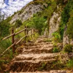 Alla scoperta della natura della Sicilia