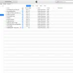 Come gestire file su iTunes e riorganizzarli