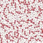 App per leggere PDF su iPhone e iPad