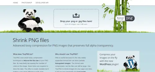 Come ridurre il peso di una foto online