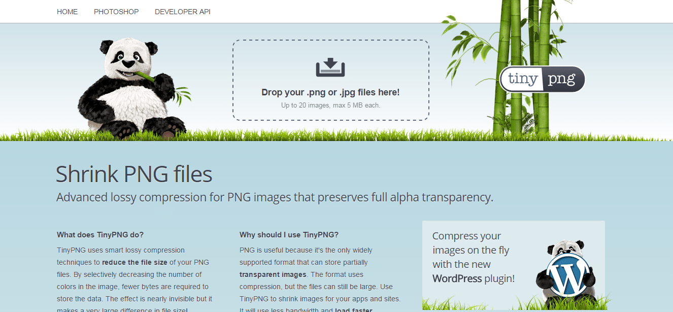 Come ridurre il peso di una foto online