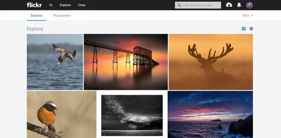 Cos’è Flickr e come funziona