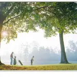 Recensione Samsung H6410, Smart TV con comandi vocali