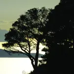 Isole Egadi: come organizzare una vacanza indimenticabile