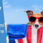 I migliori programmi per gestire le foto su Windows