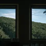 Aria in casa: come purificarla in modo naturale