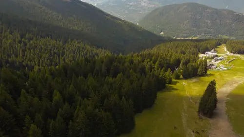 Contatto con la natura: benefici per il benessere