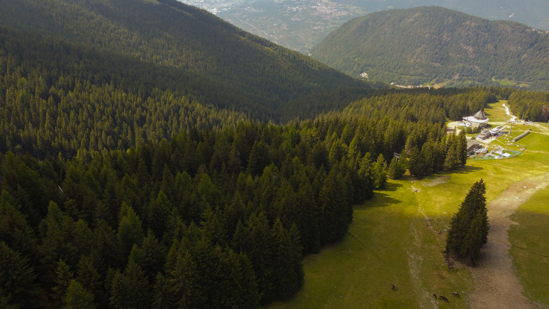 Contatto con la natura: benefici per il benessere