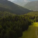 Contatto con la natura: benefici per il benessere