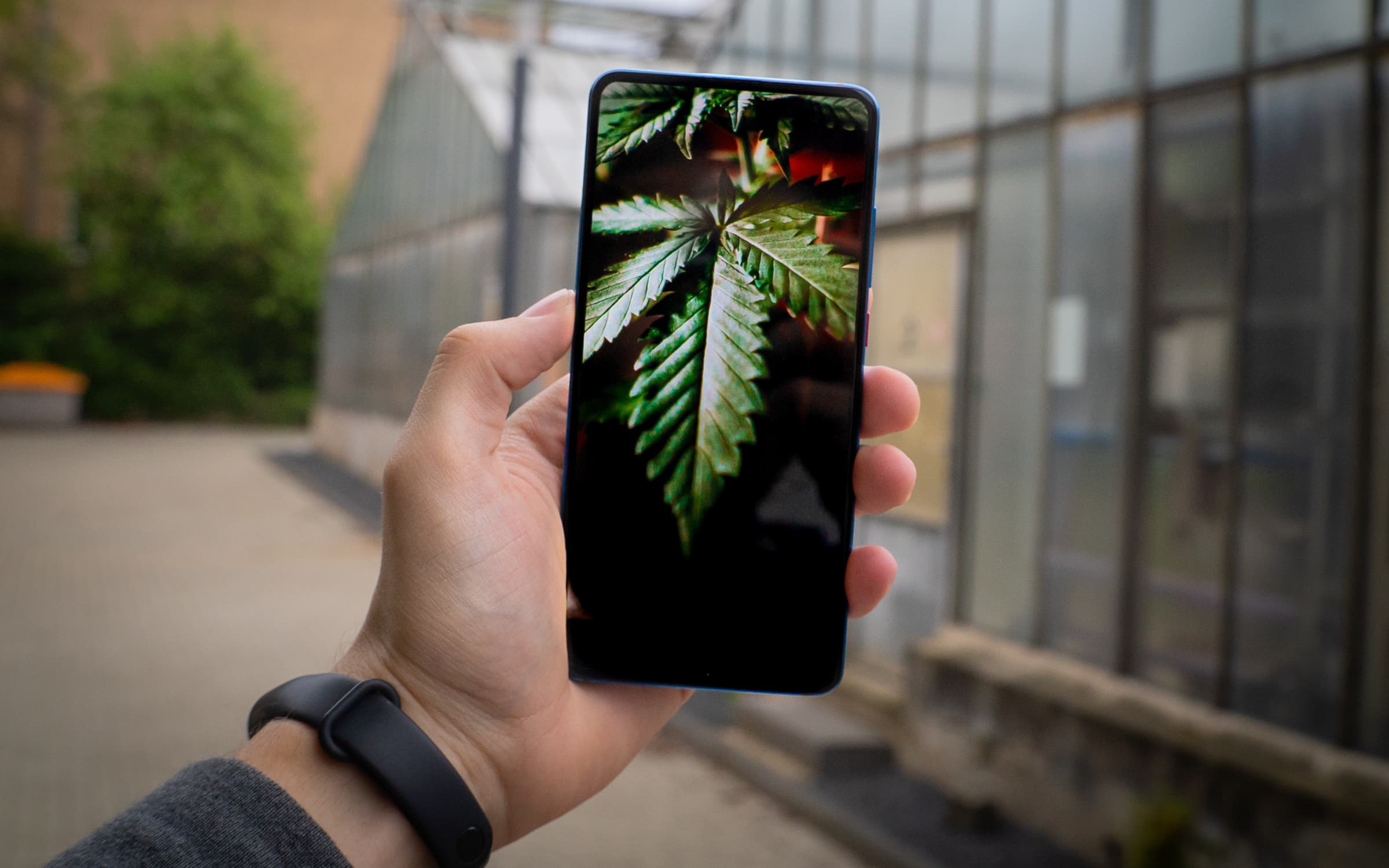 Le migliori app per consumatori di Cannabis