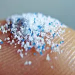 Cosa sono le microplastiche?