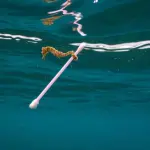 Perchè i cotton fioc inquinano?