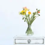 Arredare con fiori e piante: i consigli di un’esperta