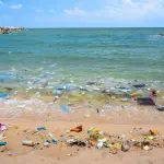 Quanto la plastica sta inquinando le nostre vite