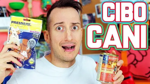 Come contattare ilvostrocaroDexter