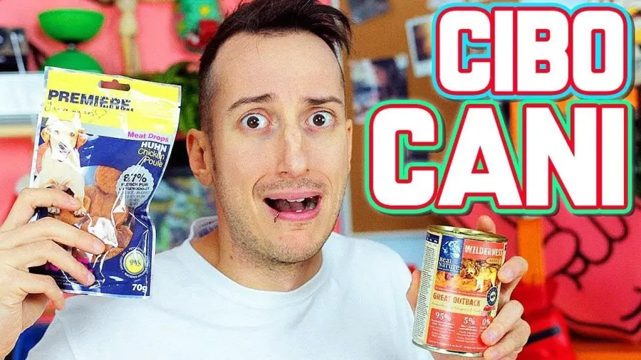 Come contattare ilvostrocaroDexter