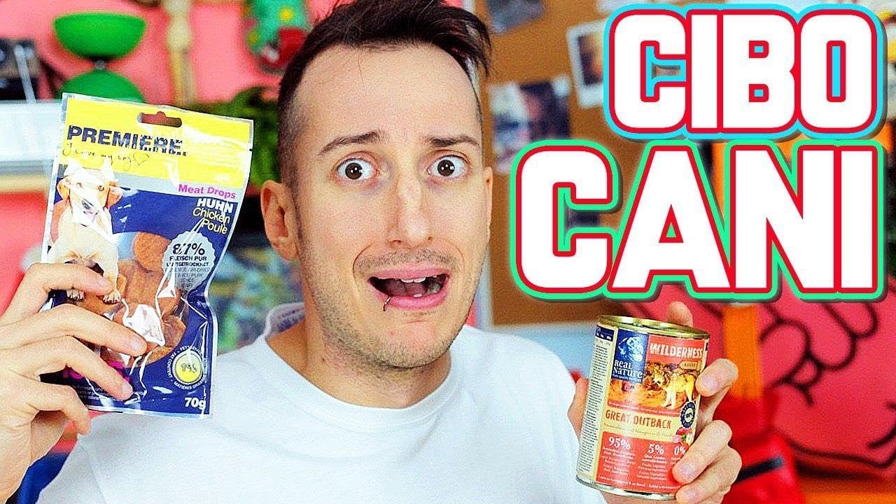 Come contattare ilvostrocaroDexter