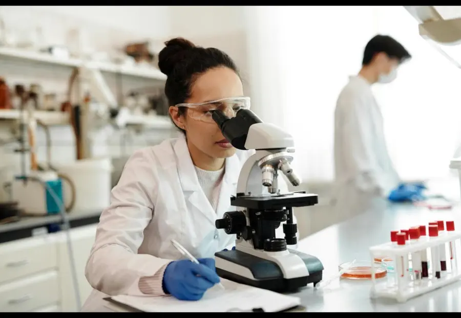 6 modelli di camici da lavoro: caratteristiche e dove trovarli