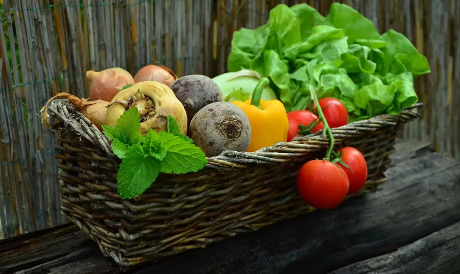 Quali sono le verdure che fanno dimagrire?