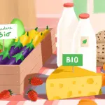I prodotti biologici da includere nella propria dieta