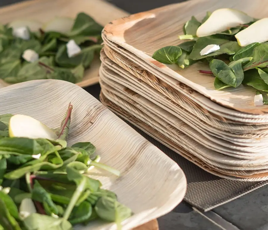 Piatti monouso, perché convengono sempre di più