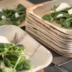 Piatti monouso, perché convengono sempre di più