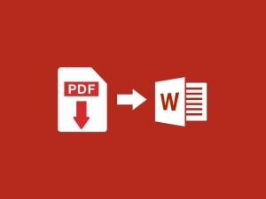 Scopri di più sull'articolo Come convertire un file PDF in Word