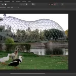 Migliori alternative a Adobe Photoshop