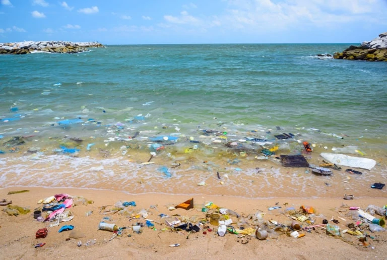 Quanto la plastica sta inquinando le nostre vite