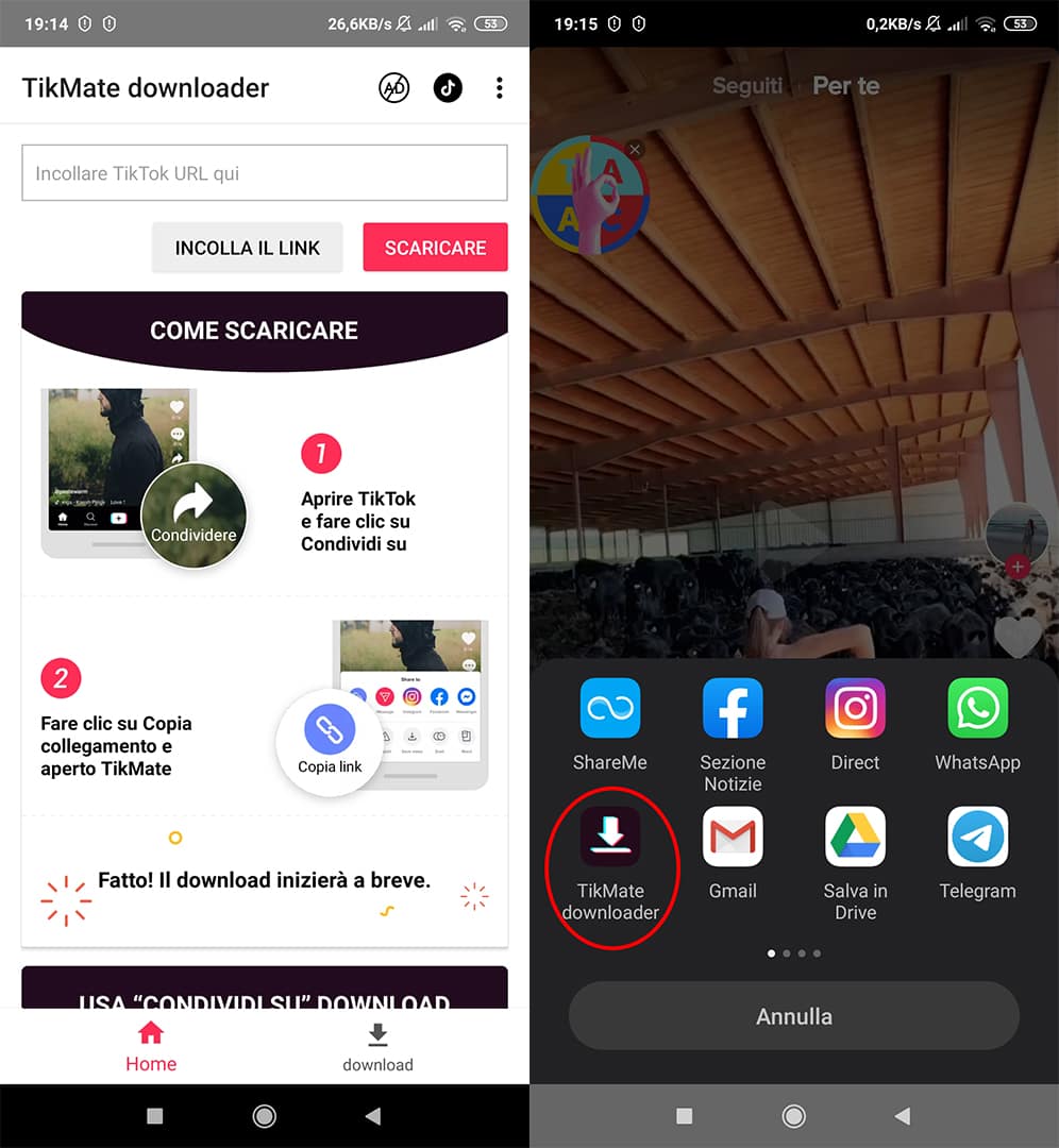 App per scaricare video da TikTok 2020 | WizBlog