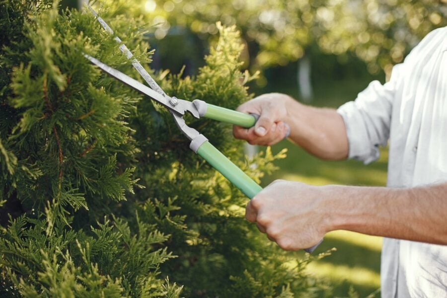 Scopri di più sull'articolo Come scegliere il giardiniere perfetto per il tuo giardino