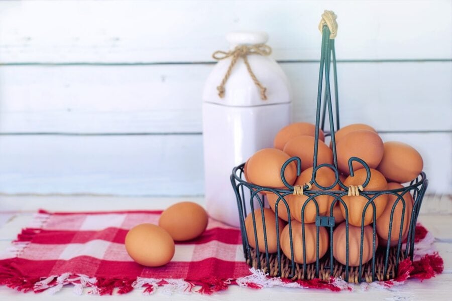 Come scegliere un’incubatrice per uova di gallina